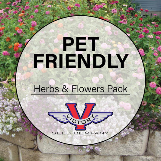 Pet-Friendly Herb and Flower Garden Pack