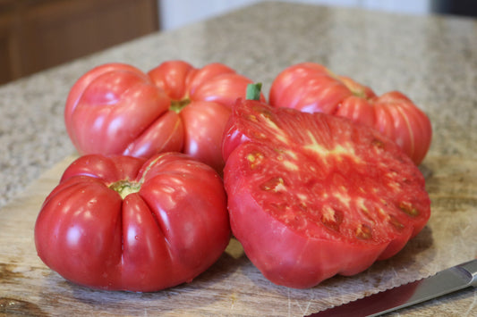 Pink Delicious F1 Tomato