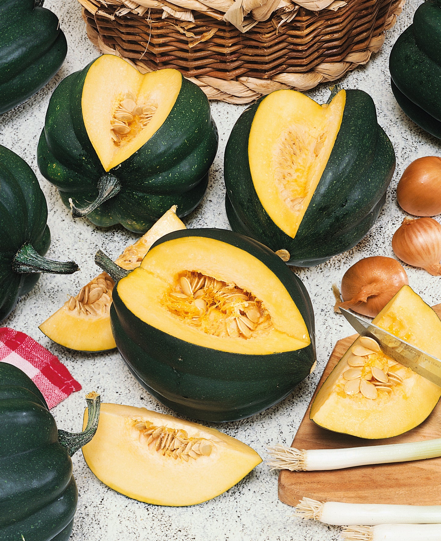 Ebony Acorn Squash