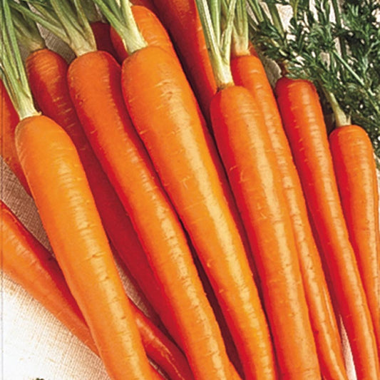 Henderson's Tendersweet Carrot