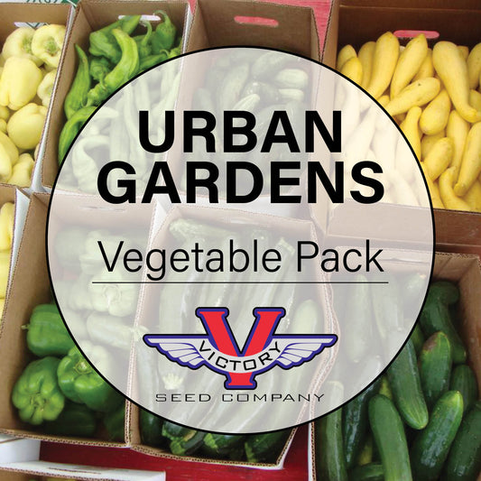 Urban Gardening Vegetable Seeds Pack