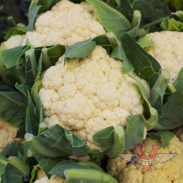 All Year Round Cauliflower