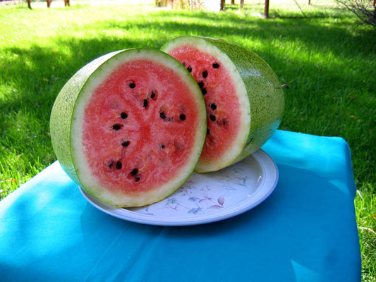 Bozeman Watermelon