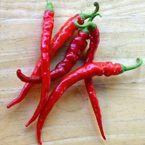 Long Red Cayenne Hot Pepper