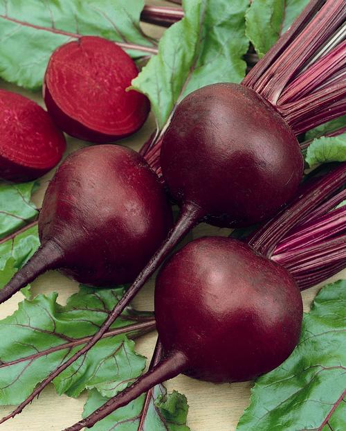 Detroit Dark Red Beet