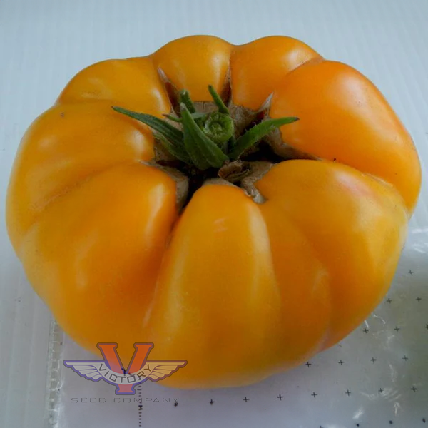 Dwarf Awesome Tomato