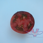 Gondwana Thunder Tomato