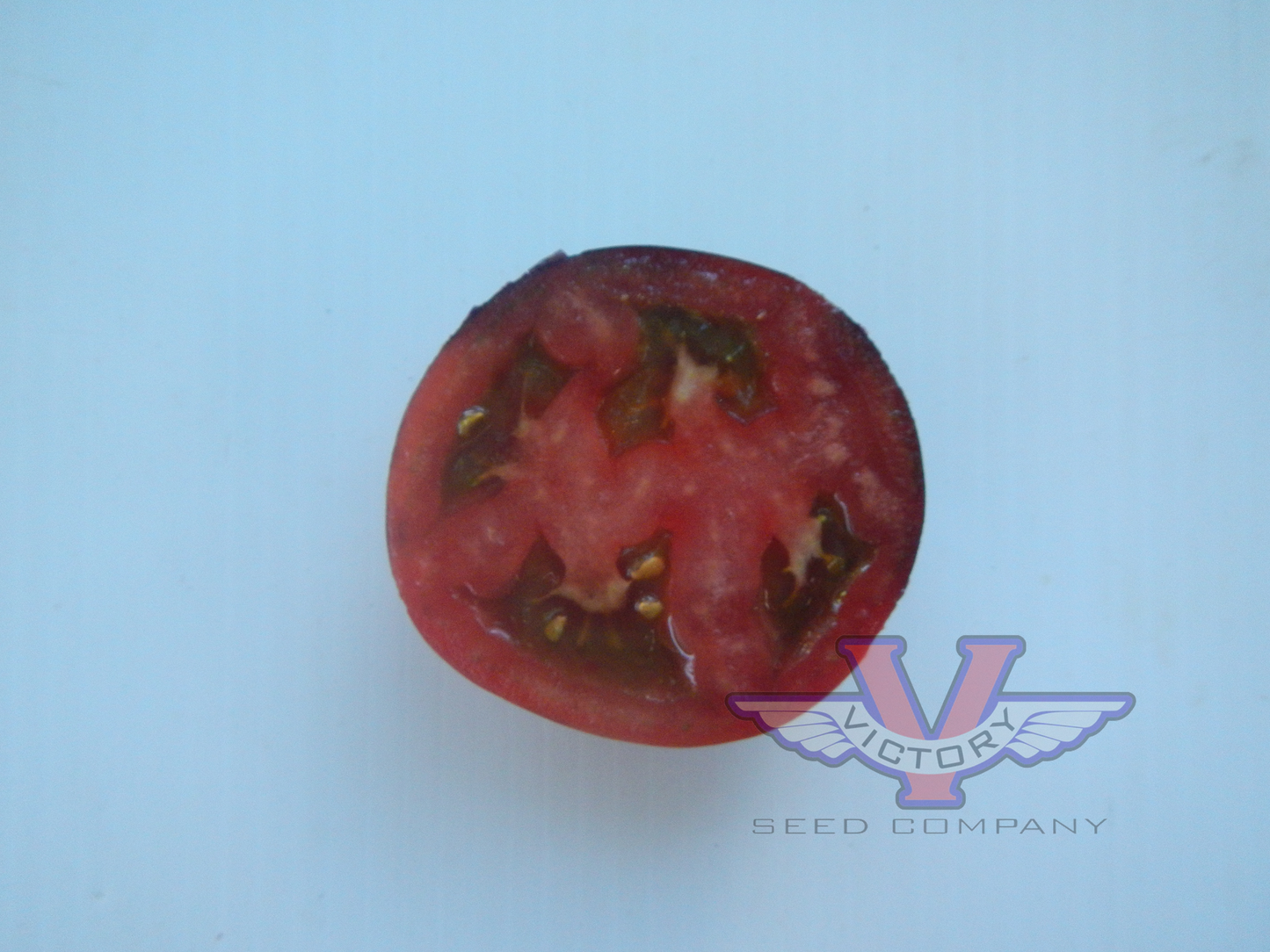 Gondwana Thunder Tomato