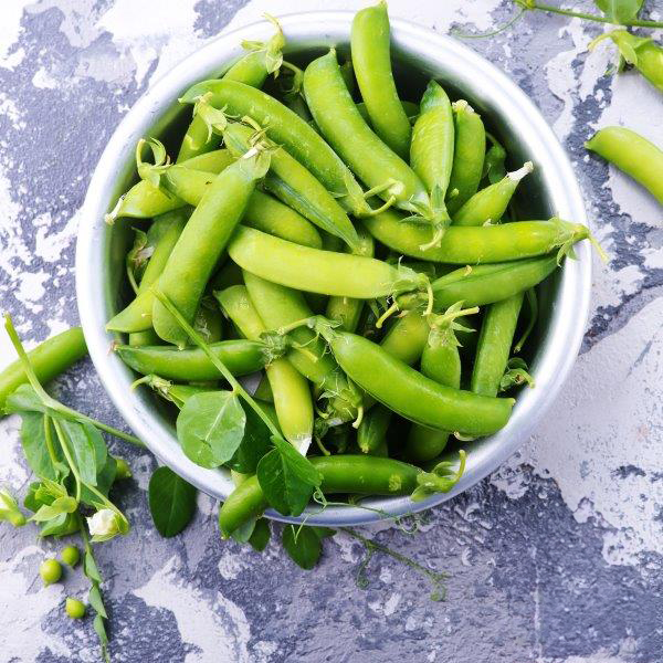 Sugar Snap Pea