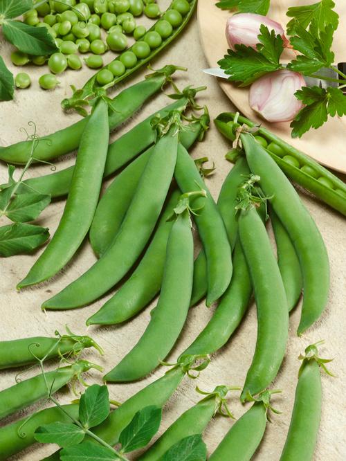 Sugar Daddy Snap Pea