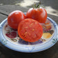 Cavalier Tomato