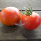 Danish Export Tomato