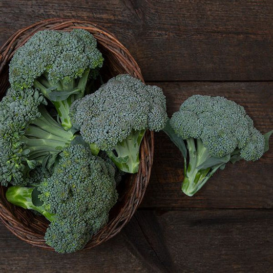 Umpqua Broccoli