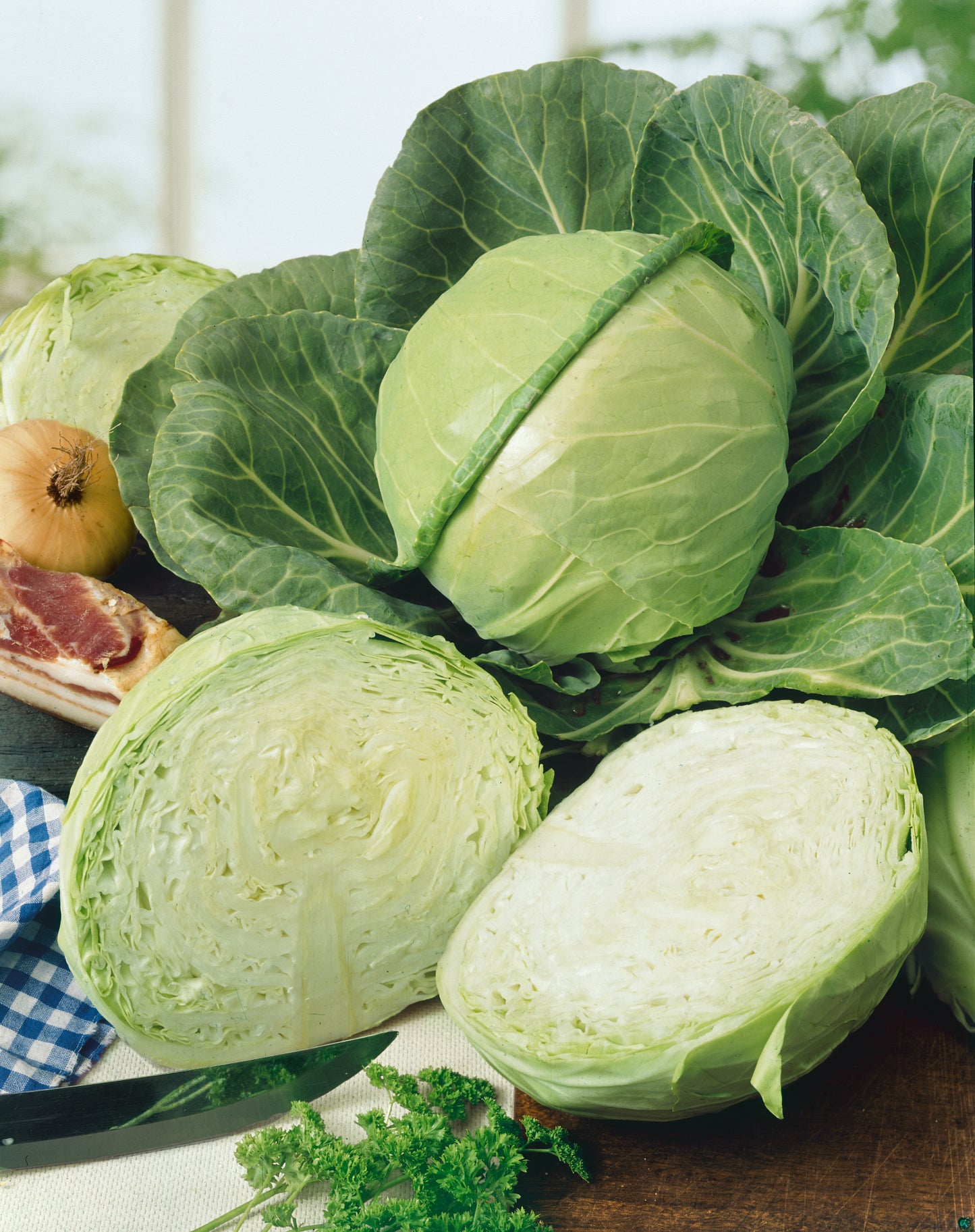 Golden Acre Cabbage