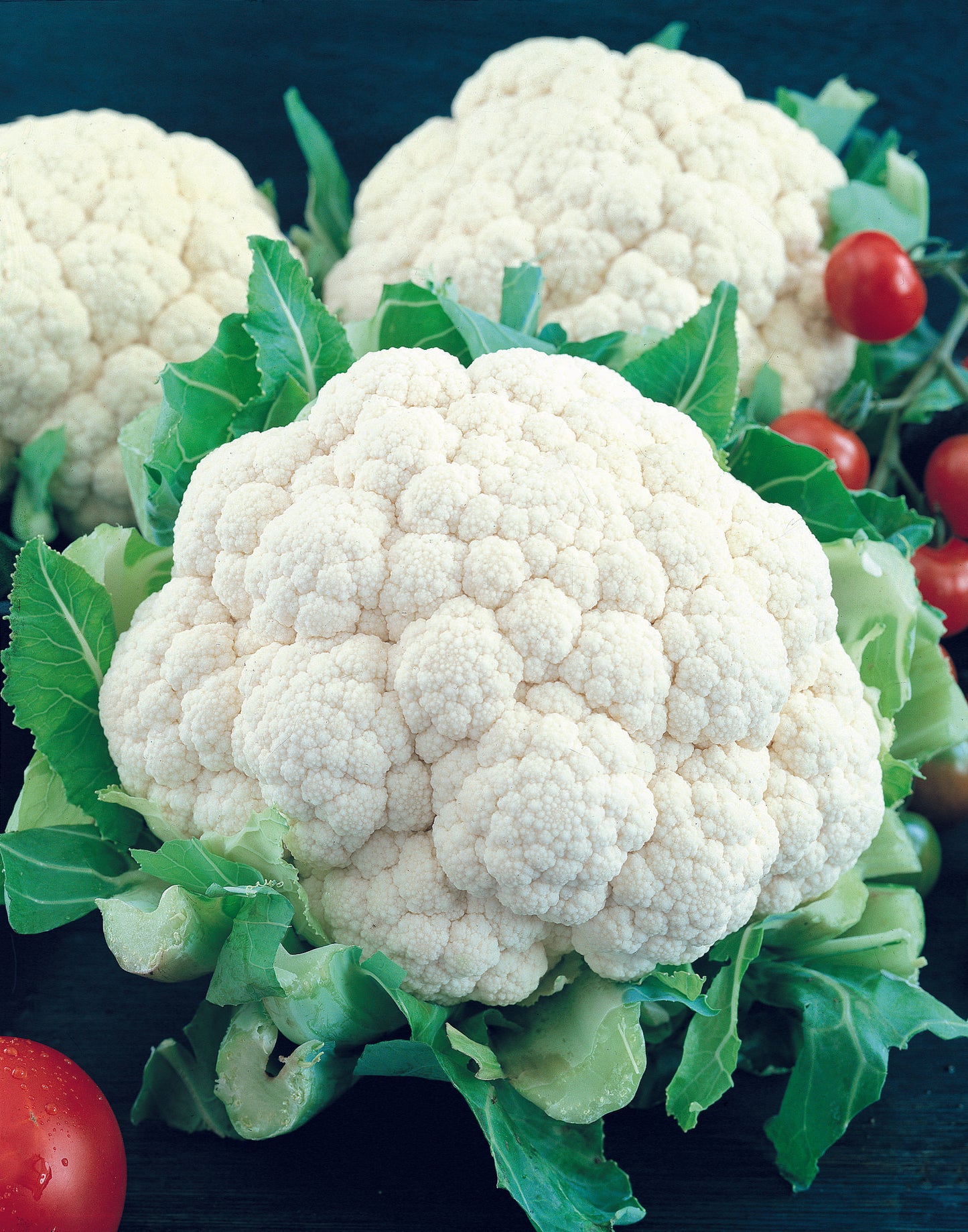 Snowball Self-Blanching Cauliflower