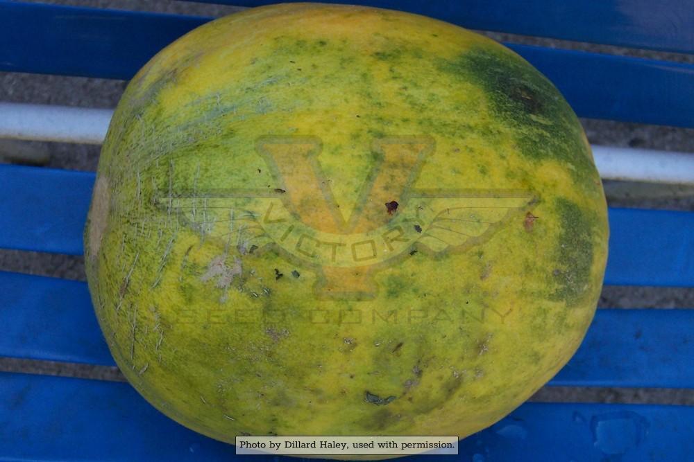 Crenshaw Melon