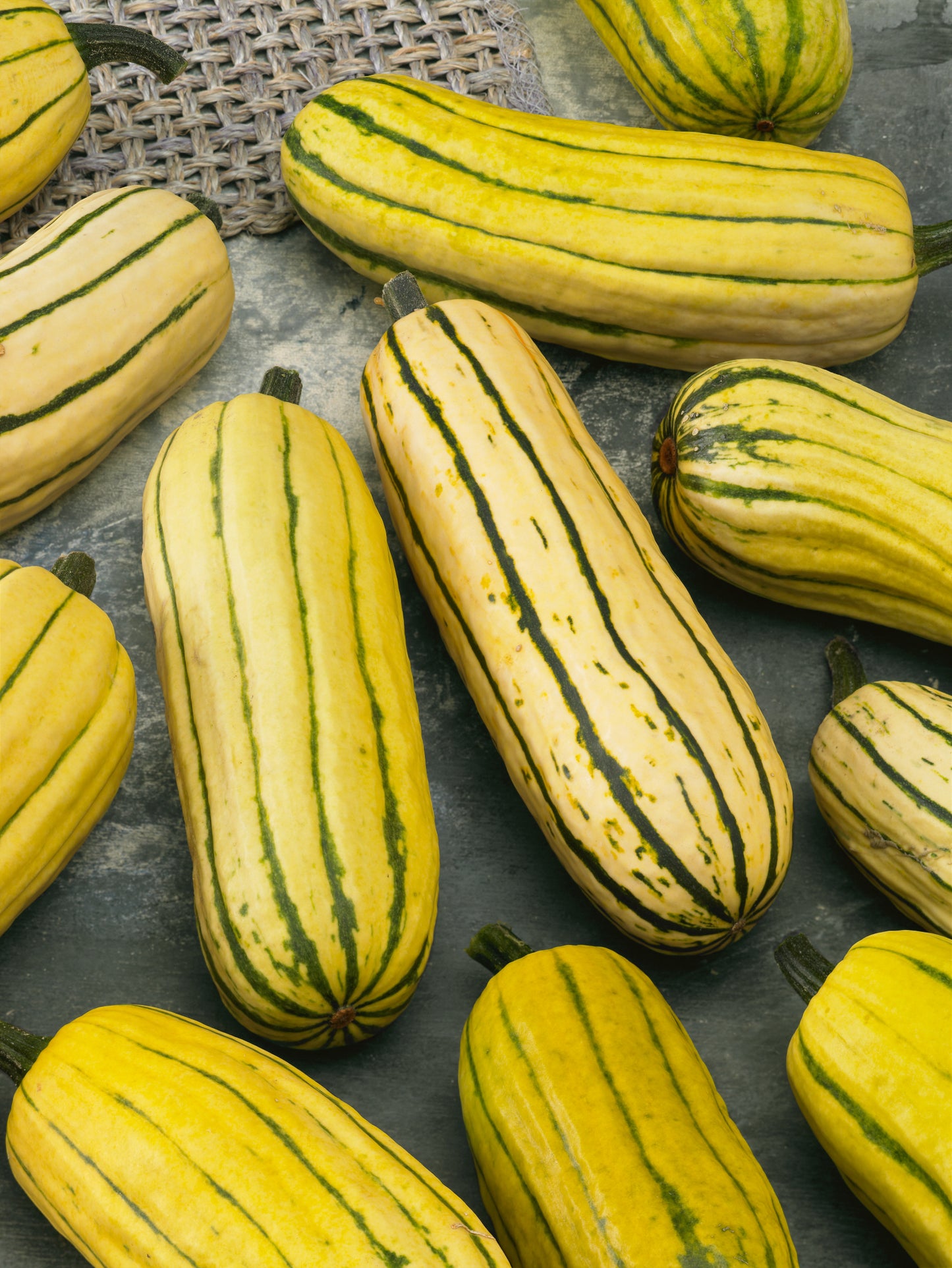 Delicata Winter Squash