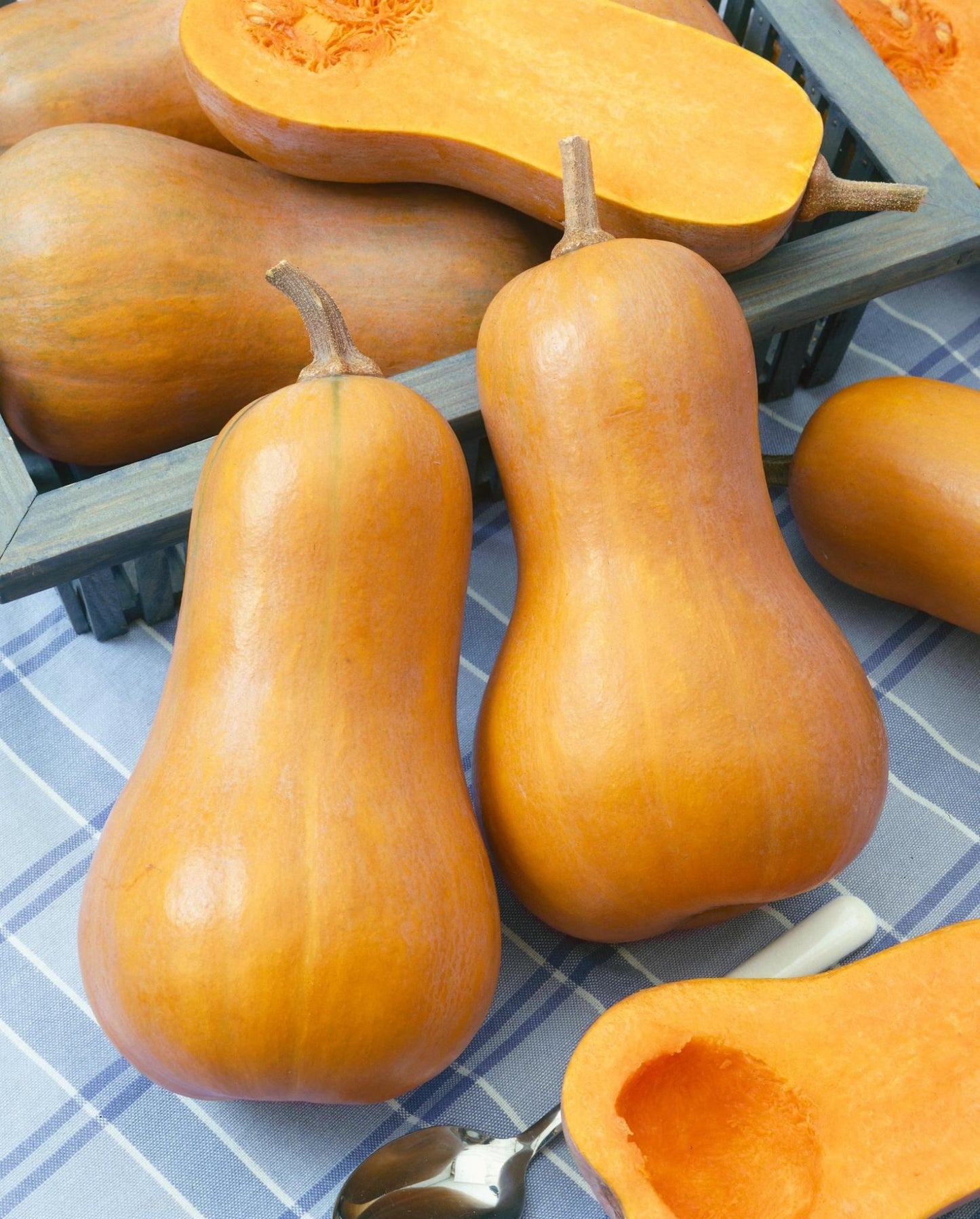 Honeynut Winter Squash