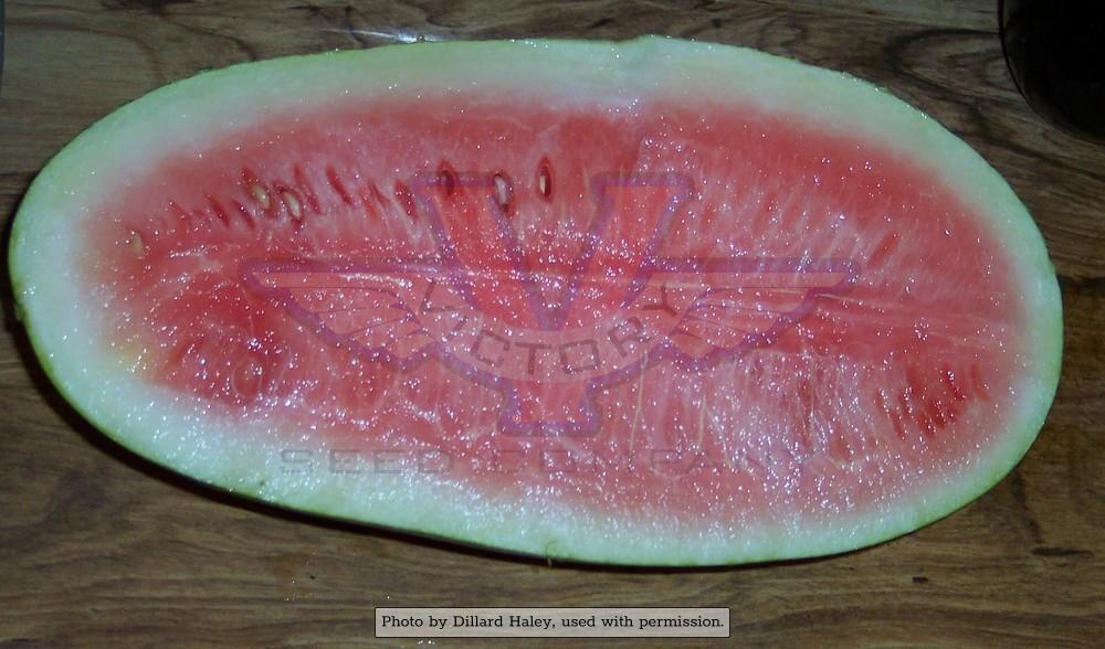 Kleckley's Sweet Watermelon