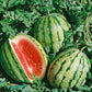 Dixie Queen Watermelon