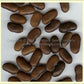 'Gaia' bush bean seeds.