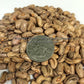 'Spartan' or 'Striped Half Runner' snap bean seeds.