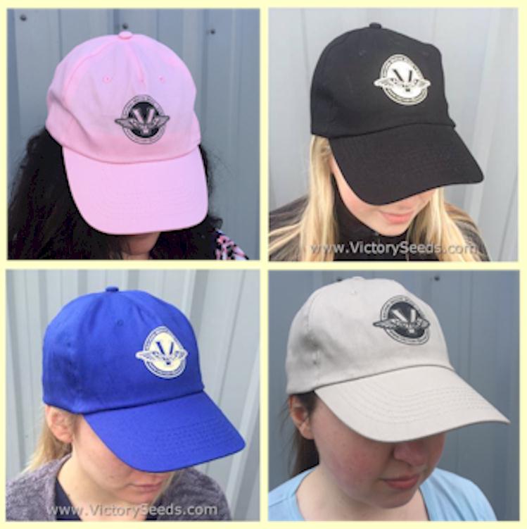 Victory Seed Company Cap - Wear your Victory Seed colors proudly!