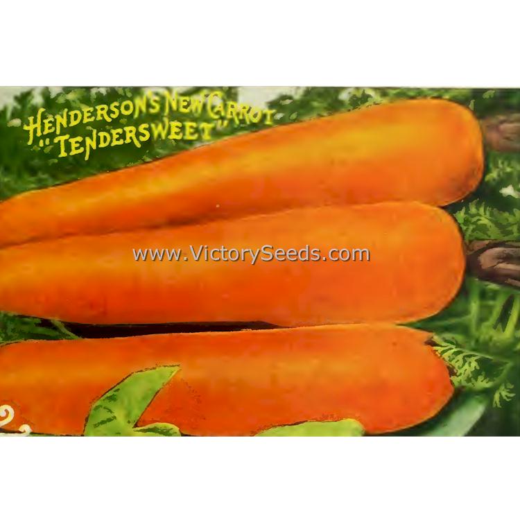 Lithograph of Henderson's 'Tendersweet' carrots.