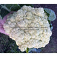 'Igloo' cauliflower - harvested 11/6/15.