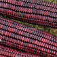 Close up of 'Bloody Butcher' dent corn kernels.