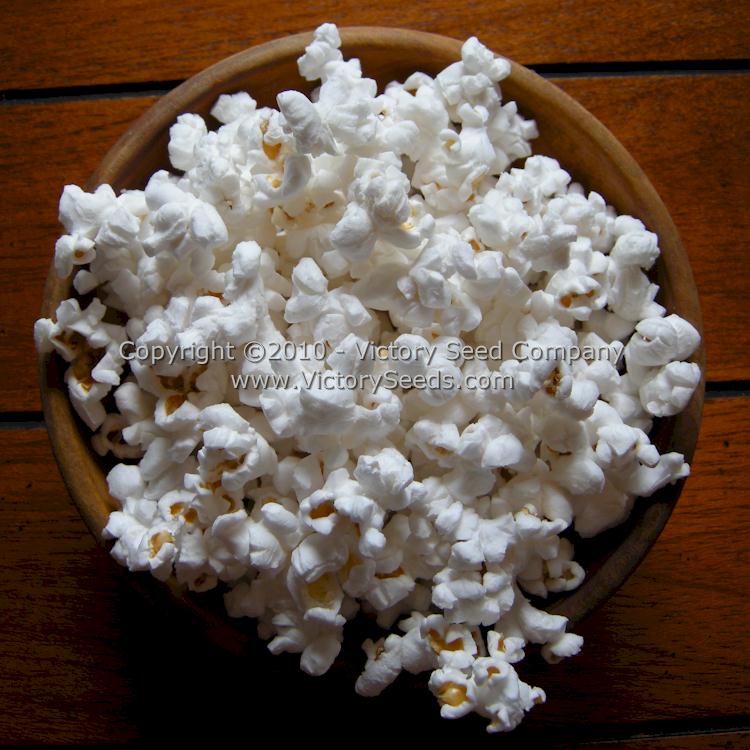 Popped 'Japanese Hulless' popcorn