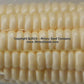 Close-up of 'Six Shooter' sweet corn kernels.