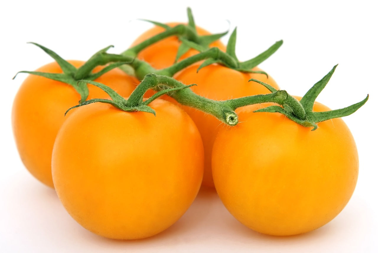 Sungold F1 Tomato