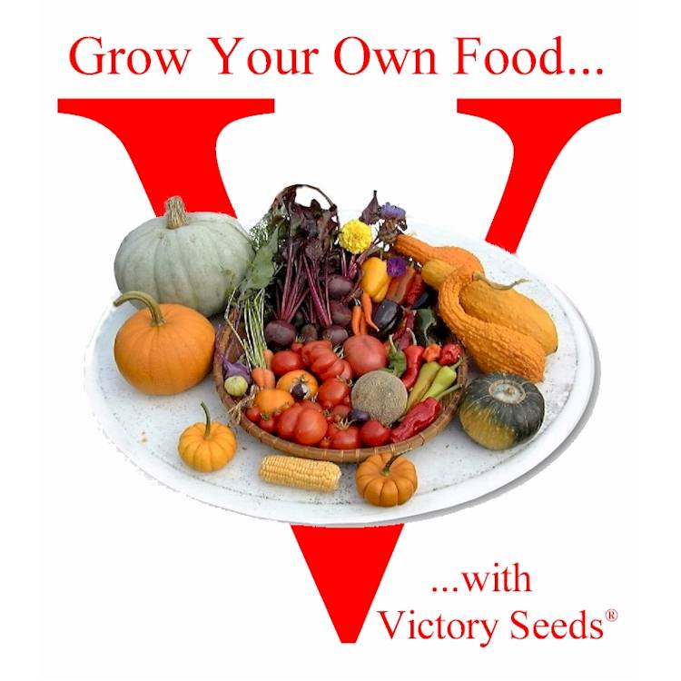Grow Your Own . . . Food, Freedom, Health, Money . . . You fill in your blank.