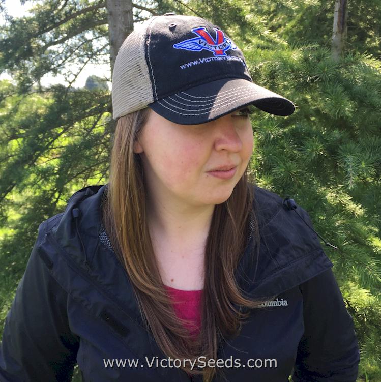 Victory Seed Soft Mesh Back Trucker's Hat