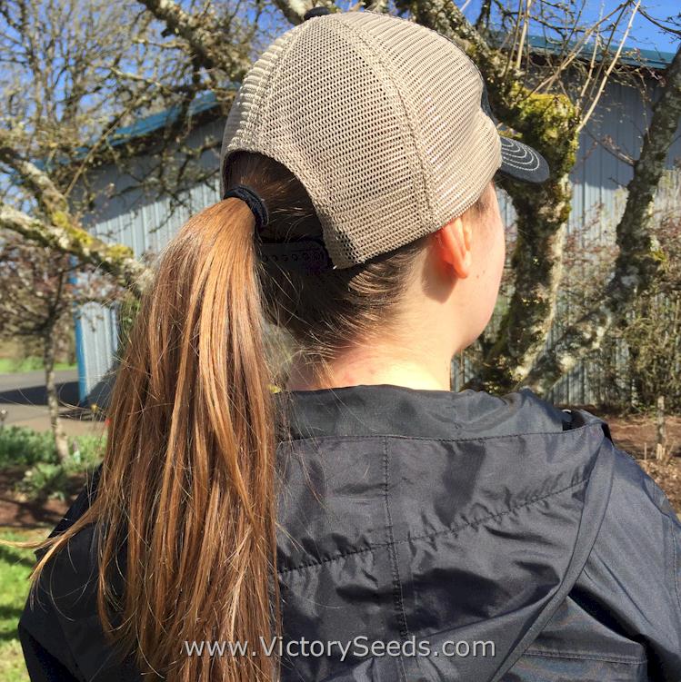 Back View - Works with short hair and even pony tails.