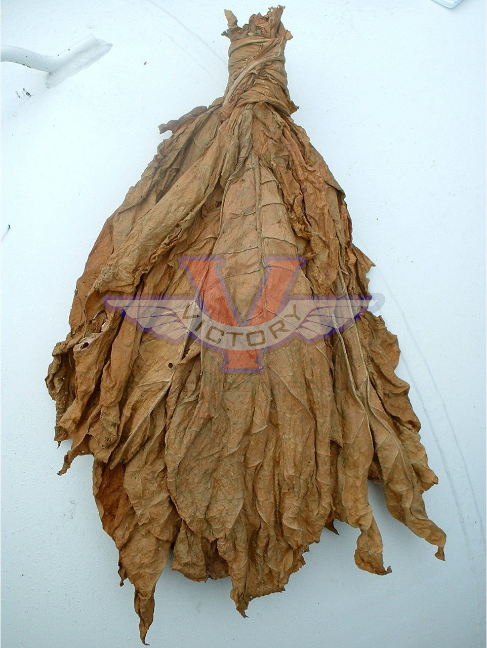 Lancaster Seed Leaf Tobacco