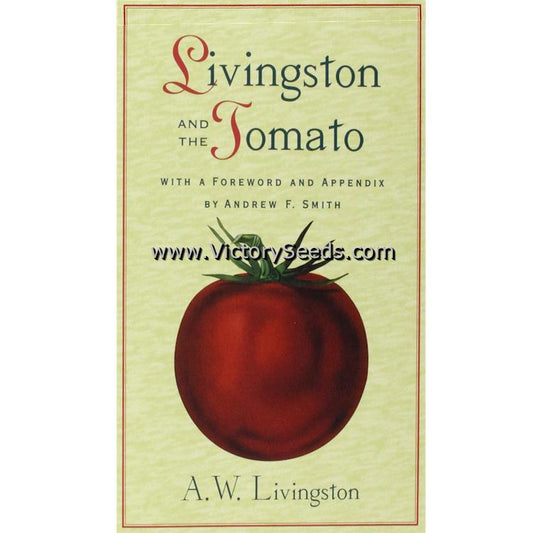 Livingston and the Tomato (Stock image)