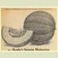 1925 lithograph of 'Bender's Surprise' melon from the Maule's seed catalog.
