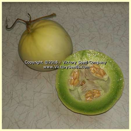 'Green Flesh Honeydew' melon.