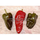 'Poblano' (Ancho) hot peppers are various stages of maturity.