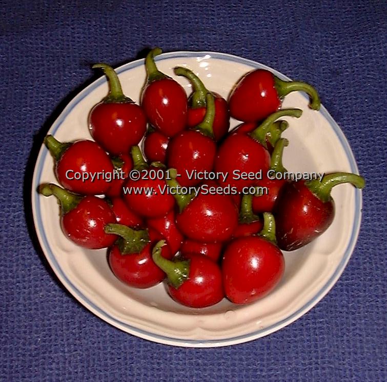 'Large Red Cherry' sweet peppers.