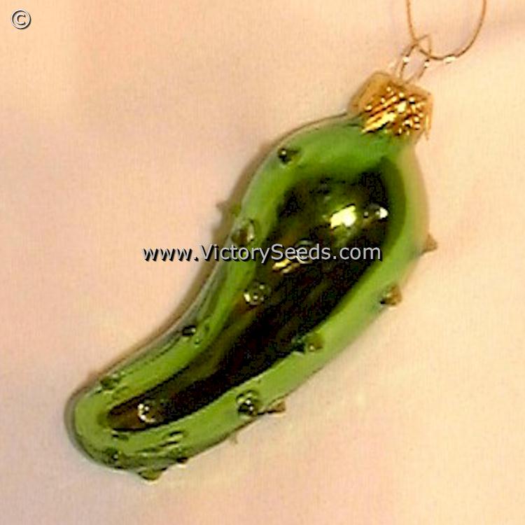 Glass Christmas Pickle Ornament - Hide the Pickle on Christmas Eve