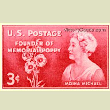 1948 U.S.P.S. postage stamp commemorating Moina Michael.