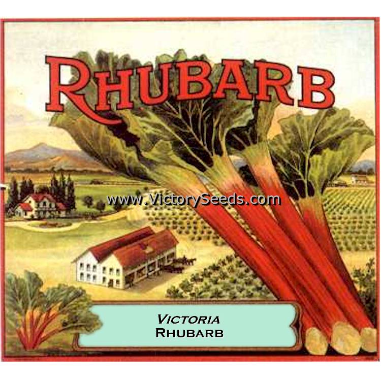 An old rhubarb shipping crate label.