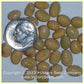 'Besarabka ' soybean seeds.