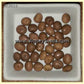 'Kouri' soybean seeds.