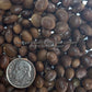 'Manitoba Brown' soybean seeds.
