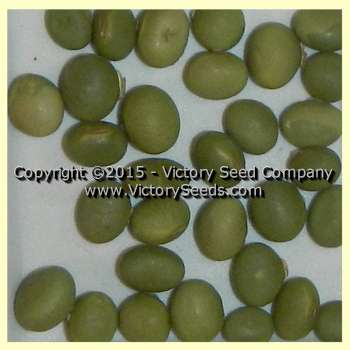 'PI 291319B' soybeans.