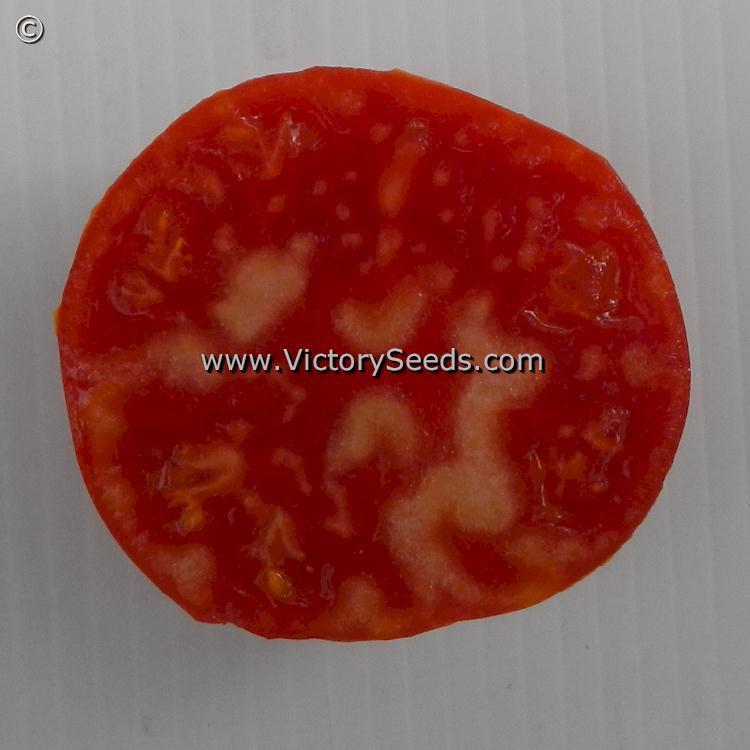 A slice of an 'Aker's West Virginia' tomato.